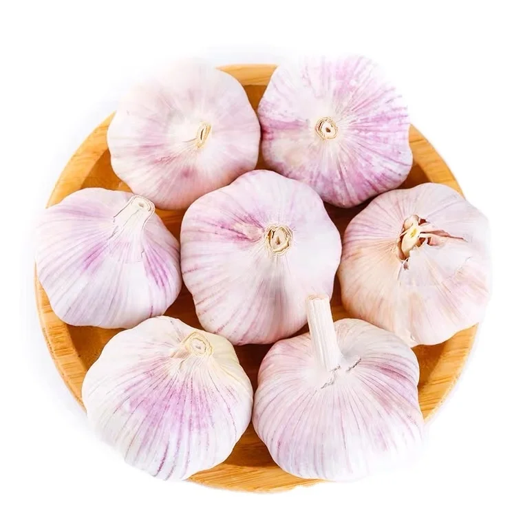 2020  Chinese  new crop high quality fresh garlic best white garlic