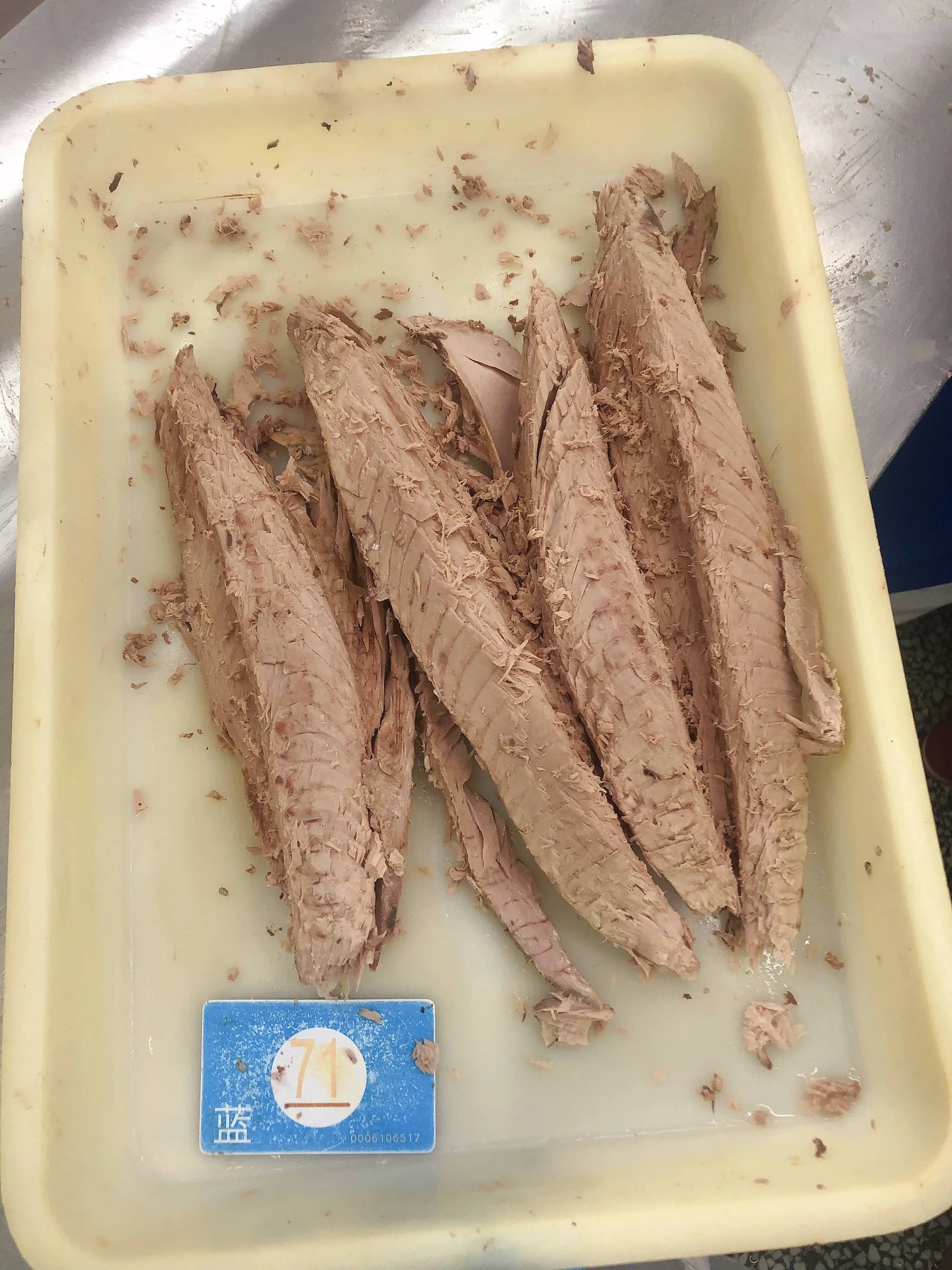 IQF Frozen precooked Skipjack Tuna Loin in Boneless frozen precooked skipjack tuna loins fish