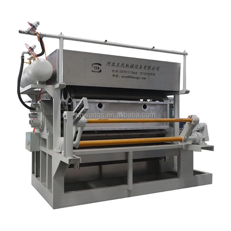 Paper Production Line Making Machine Egg Tray Machine Automatic for Paper Factory