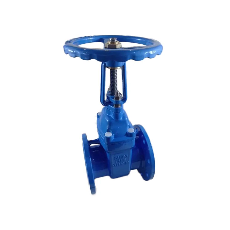 Factory Direct Sale 8in Rising Stem Brass Gate Valve PN16 Manual Metal Seat Flanged Gate Valve
