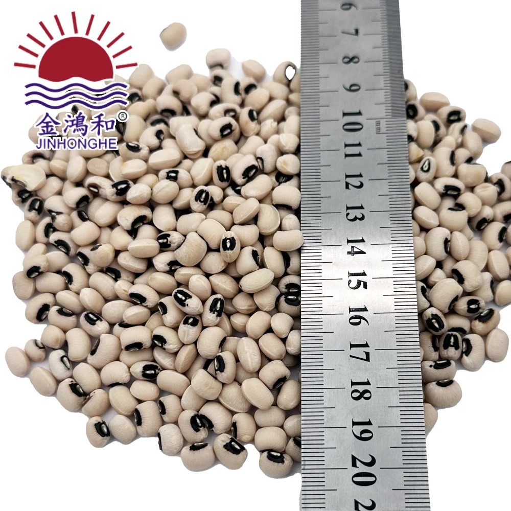 Best Selling Top Quality New Crop Natural Dry Black Eye Beans Dried White Cowpea Vigna Beans