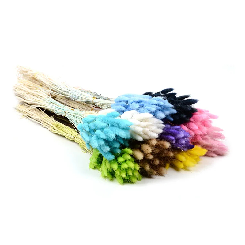 Pampas Nature Dry Flower Decoration Party Wedding HEN Decorative Pcs Color Plants Material Origin Type Preserved Real Flowers