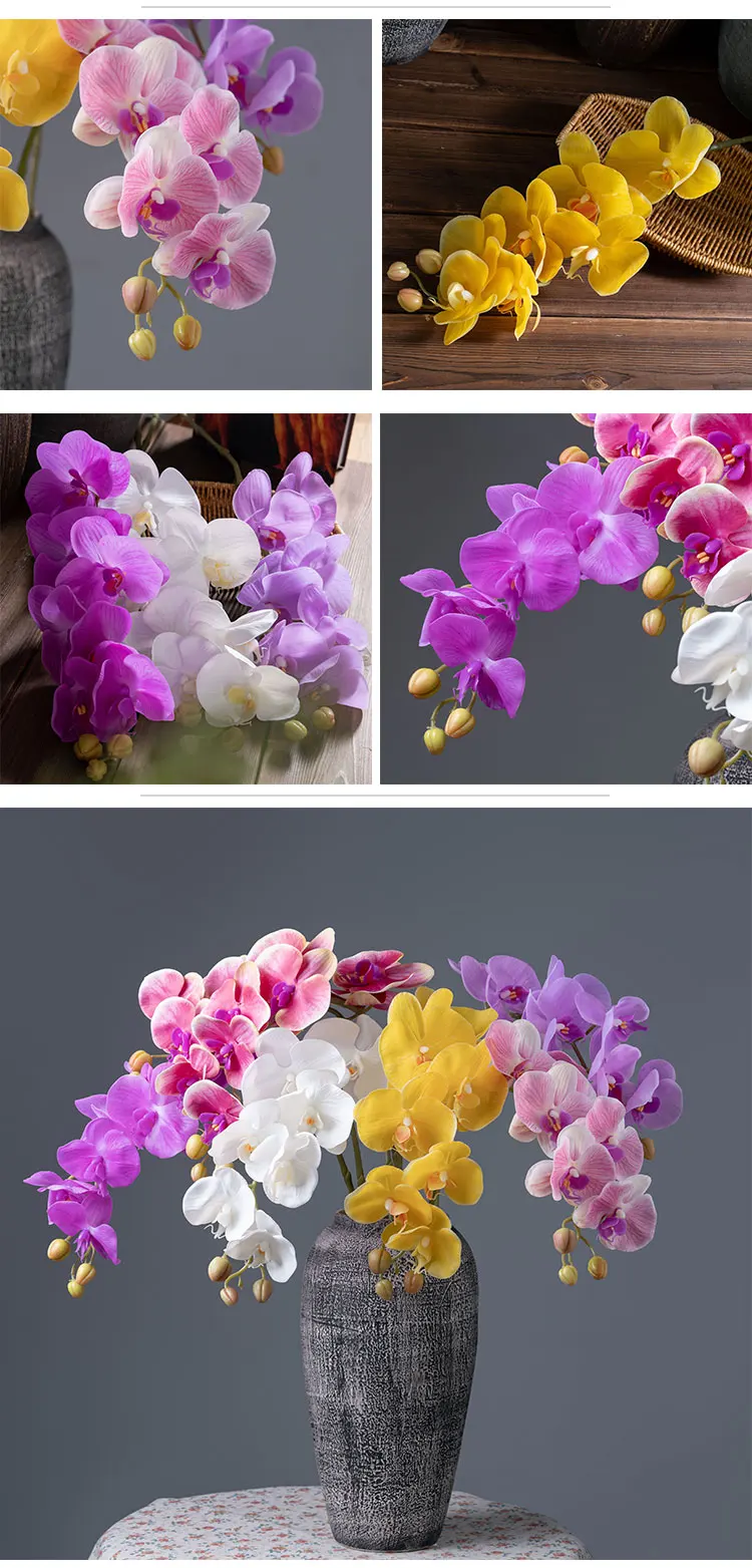 7 Plastic MW18904.jpg