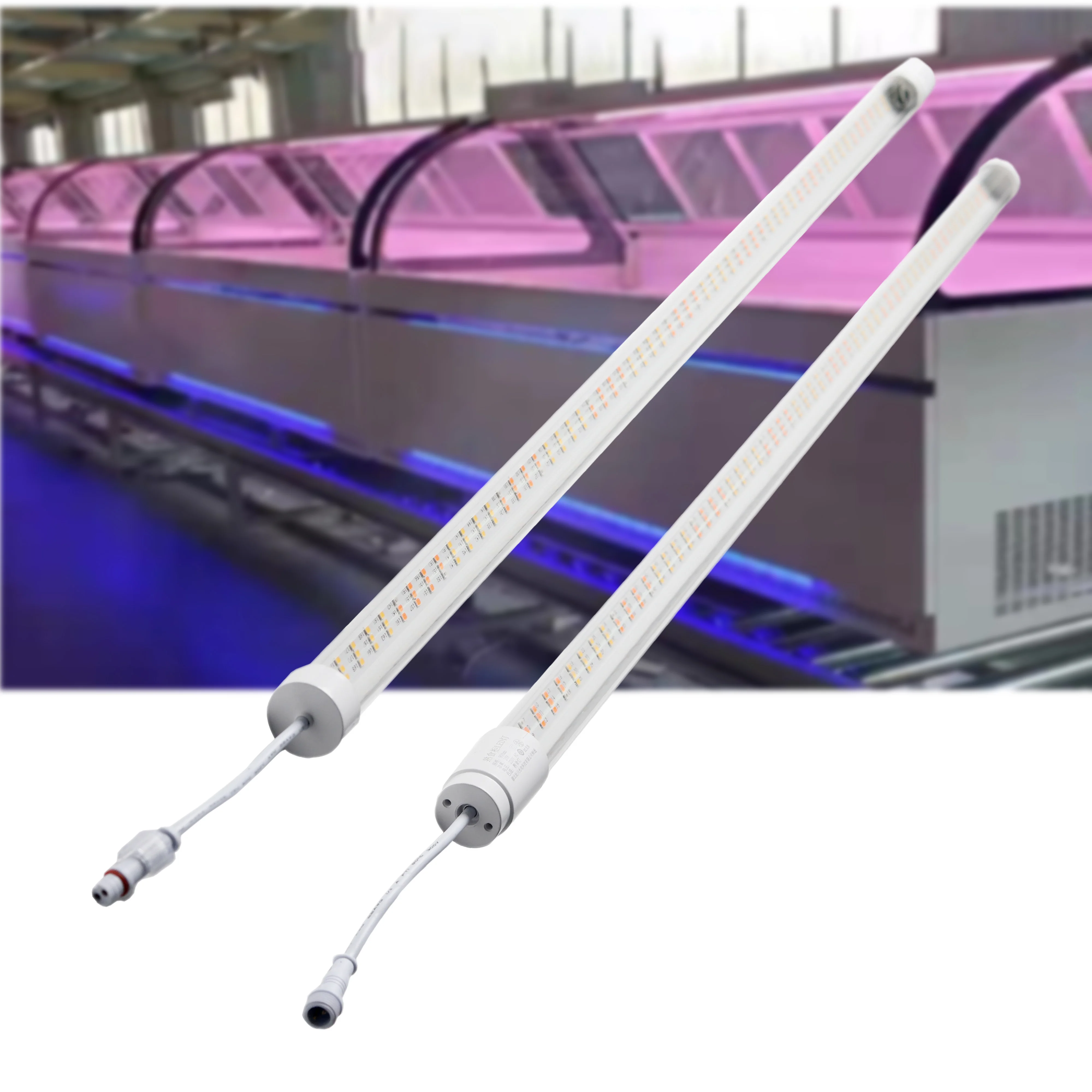 Холодное хранение морозильной камеры Высокий люмен Светодиодная водонепроницаемая лампа для морозильной камеры светодиодная охлаждающая лампа