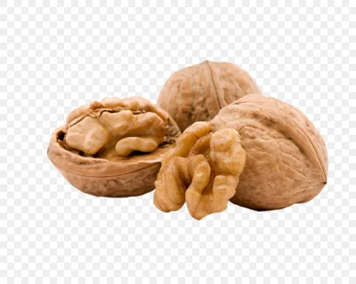 Горячая Продажа Лучшее качество Китайский орех и ядро грецкого ореха