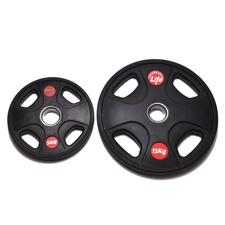 Wholesale Custom Logo 2.5LB-45LB Home Gym Free Standard Black Cast Iron Barbell Dumbbell Weight Plates