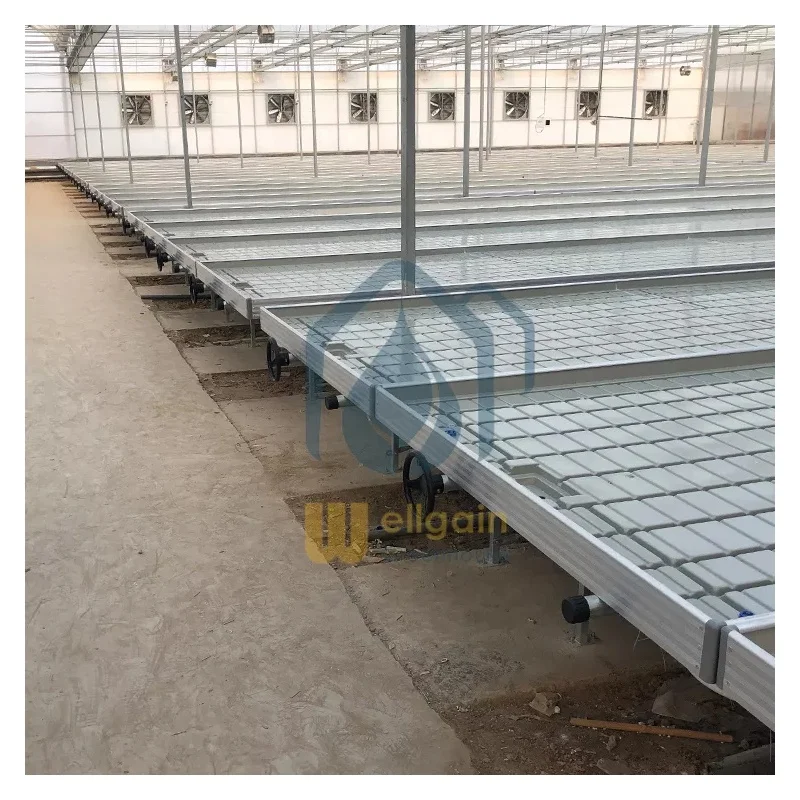 Agriculture hydroponic ebb and flow growing tray ABS big flood tray 2*4ft/4*8ft large bandeja hemp nursery seedbed