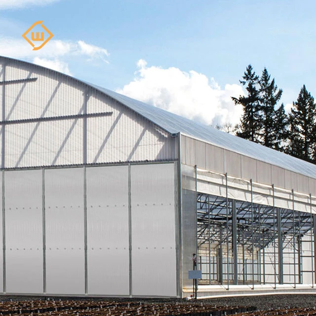 Modern automatic control equipment tomato strawberry single-span plastic film greenhouse