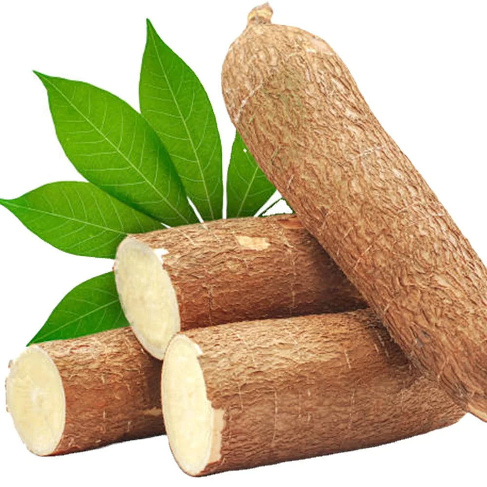 Best Qualify Cassava Vietnam Cassava International (Sliced and Dried) for Ready to ship and Fast logistic service