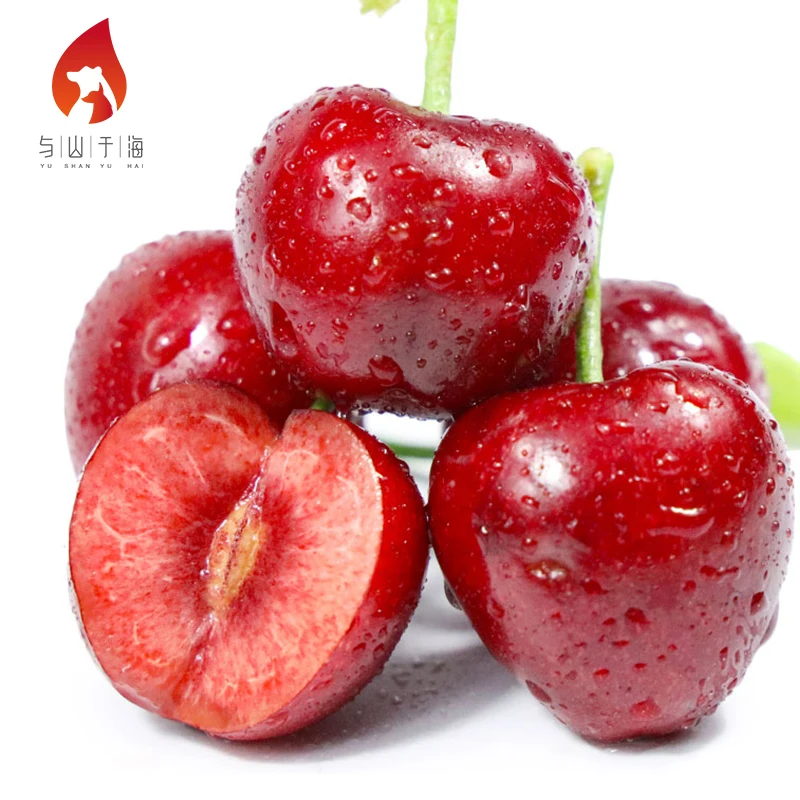 Sweet And Juicy Fresh Cherries Fruits Fresh Dark Red Cherries For Sale