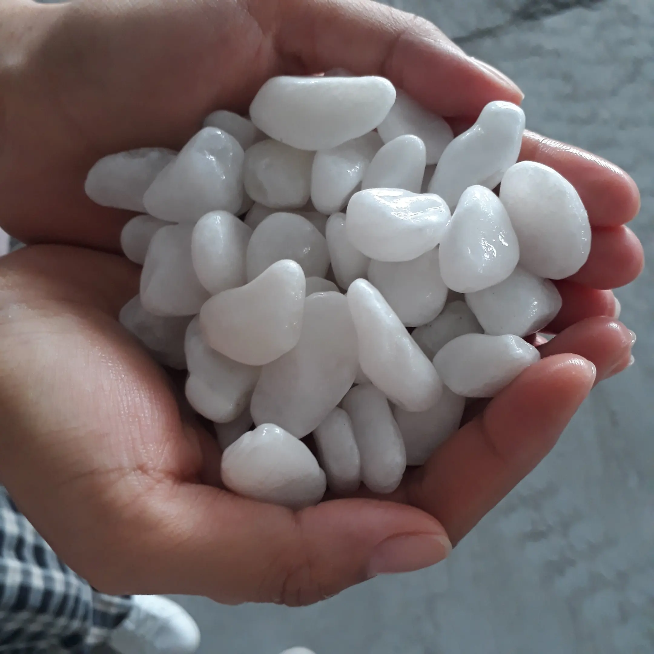Natural River Rocks White Color Pebble Stone Cobblestone for Landscape Paving Stone