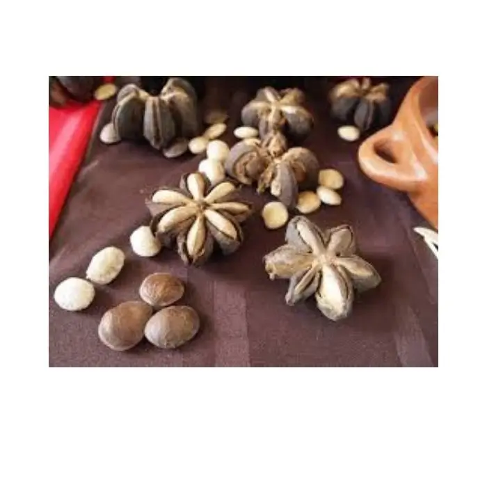 Жареная пена сачи гайка из Вьетнама-масло марки сачи-Хелен + 84 374 288 086