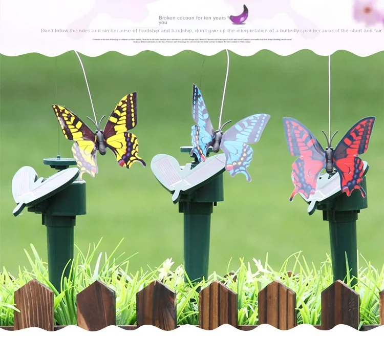 Butterfly details page_02.jpg