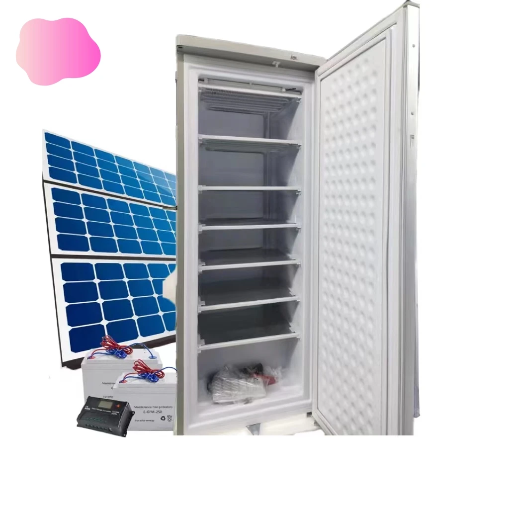 congelateur Manufacturer 198L  UPRIGHT Congelateur solaire hybride ice maker