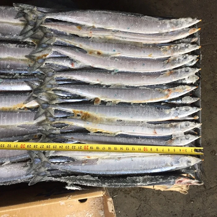 Top Fresh New Coming Frozen Pacific Saury