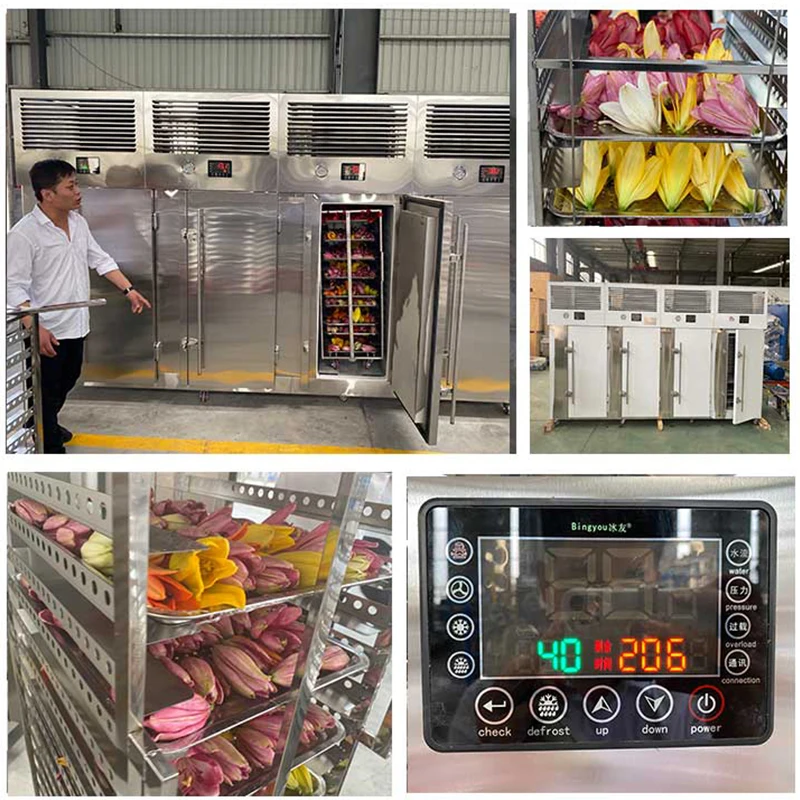 small industrial freezer freezing equipment for sale frozen food dumpling fish  blast freezer