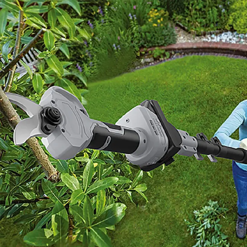 Electric pruning of trees for home garden pruning of fruit trees