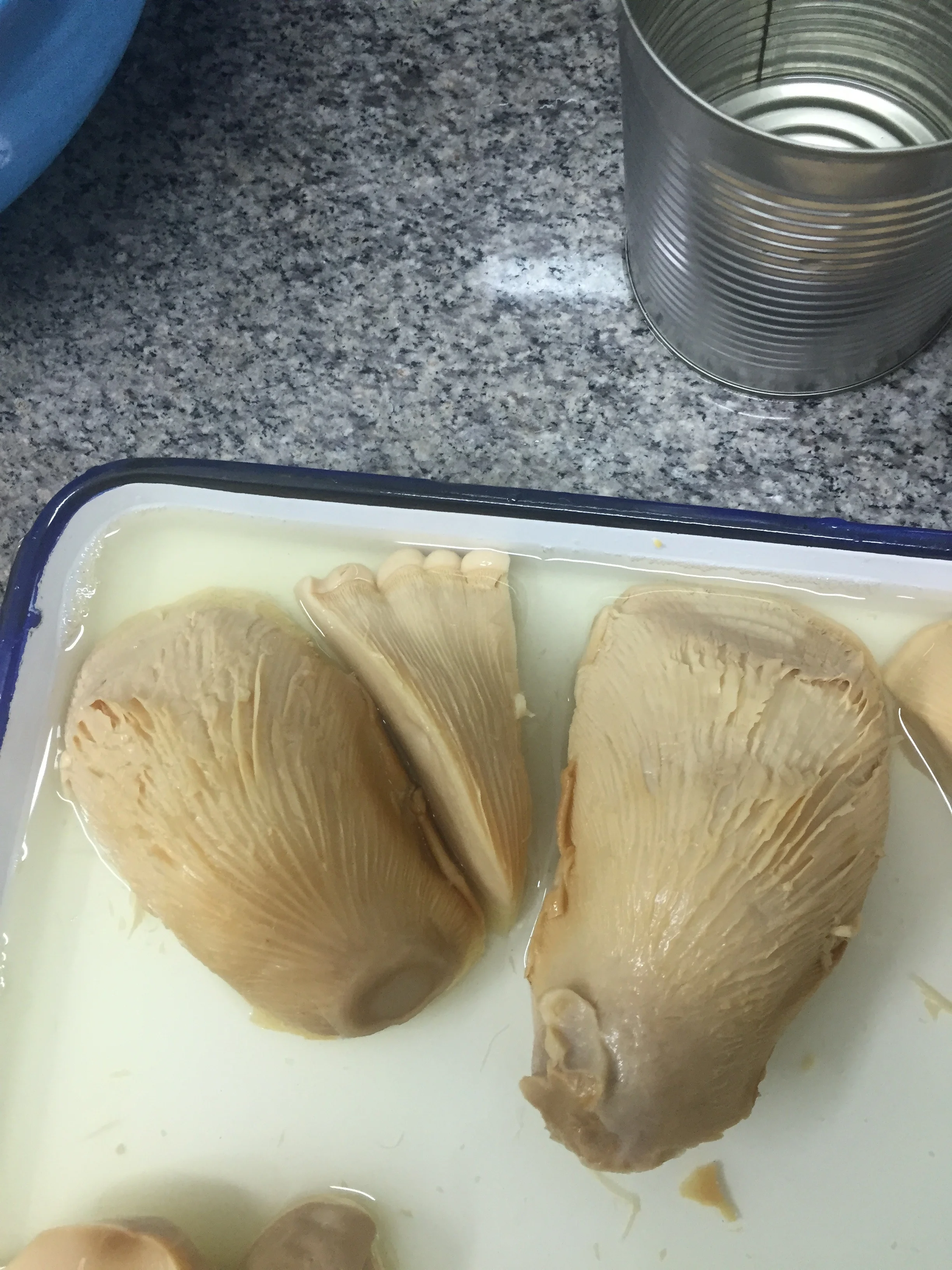 canned bailing mushroom