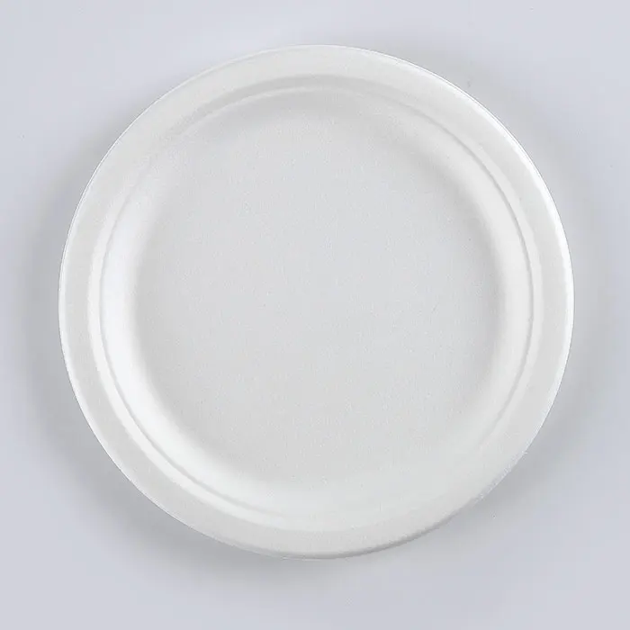 Sugarcane Bagasse Disposable Food Containers for microwave plate clamshell paper pulp tray tableware