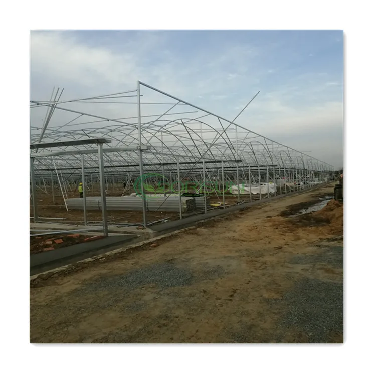 Popular Low Cost Commercial Greenhouses  Insulation Tunnel Greenhouses Heating Systems Multi Span Greenhouse For Walking