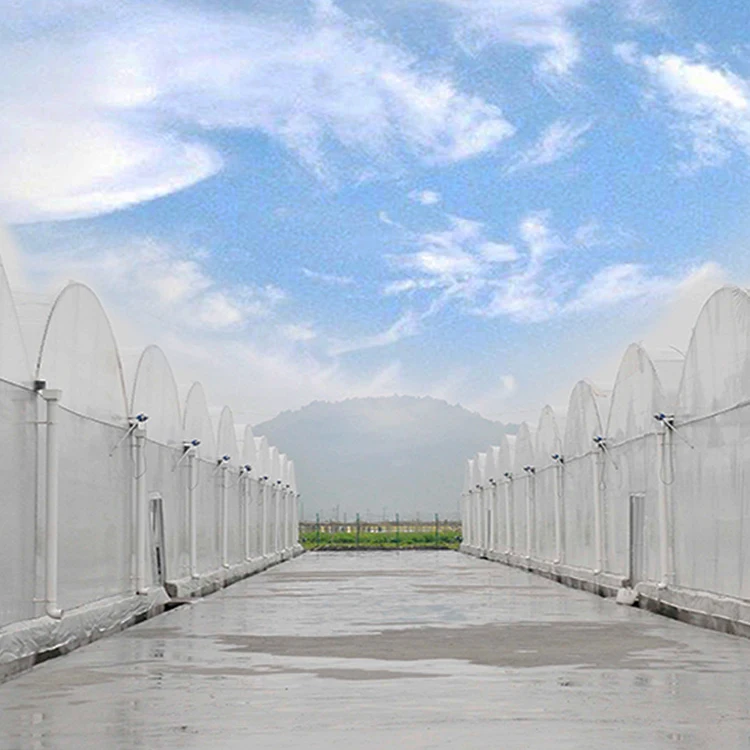 Container Multi span Film Mushroom Plastic Multi-Span Commercial Farm Equipment Polyhouse Agriculture Greenhouse