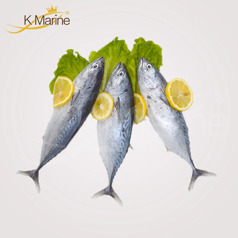 Высокое качество, Бонито, индонезийский консервированный тунец, цена