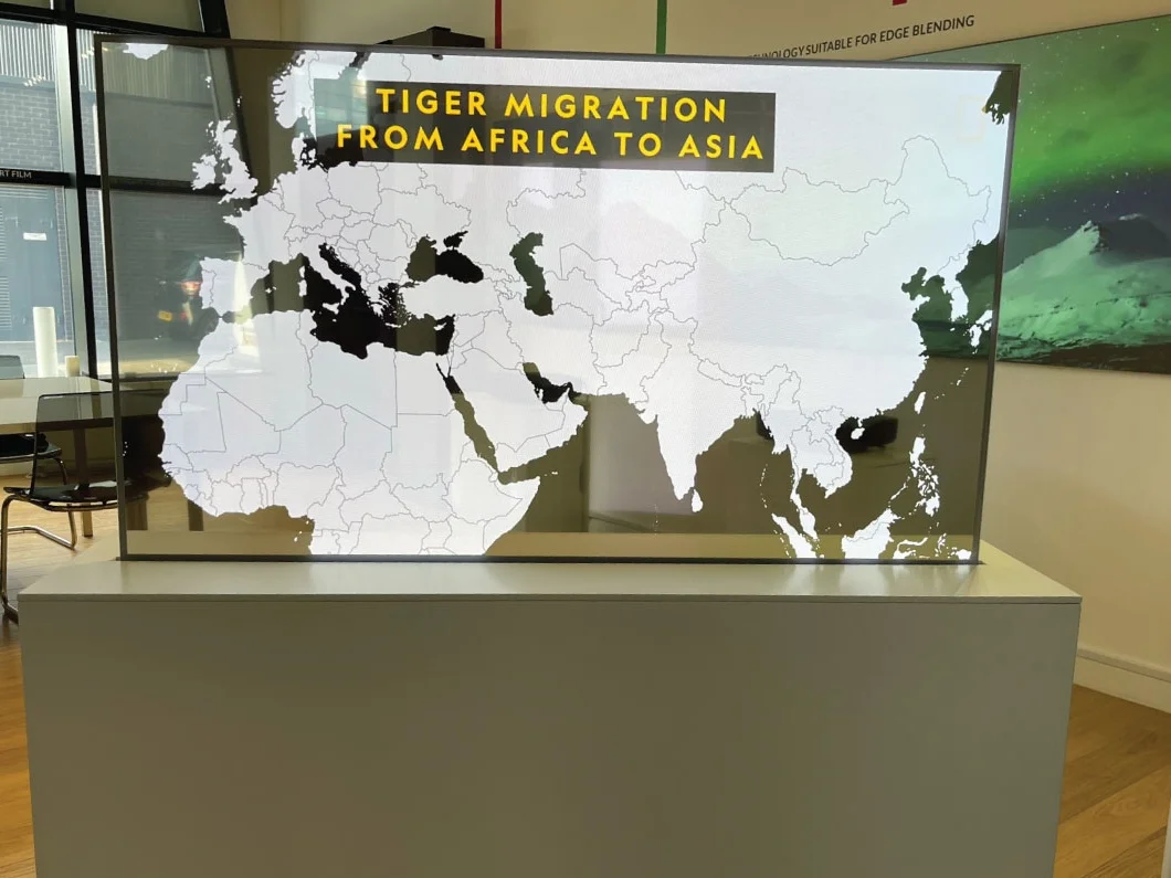 Android 55 Inch Transparent OLED Displays and Transparent Interactive Smart OLED Touch Display Screens