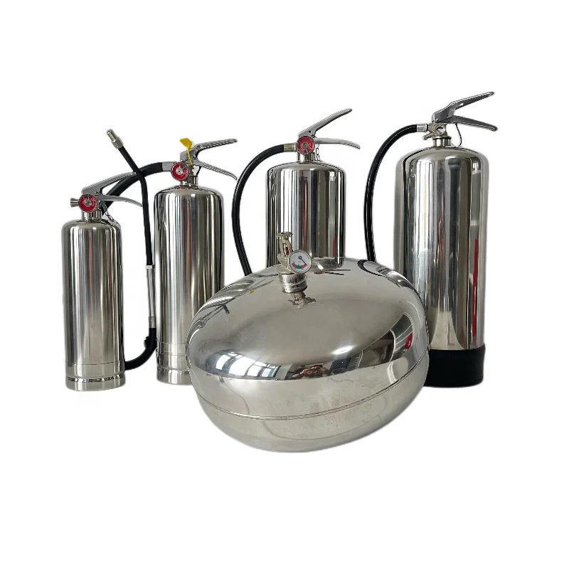 CE & EN3 2L Stainless Steel Cylinder Foam Fire Extinguisher