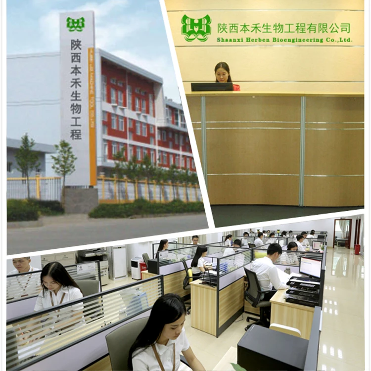 
High quality Herbal Extract Natural Chlorella Extract Chlorella Spirulina Powder with Best Price 