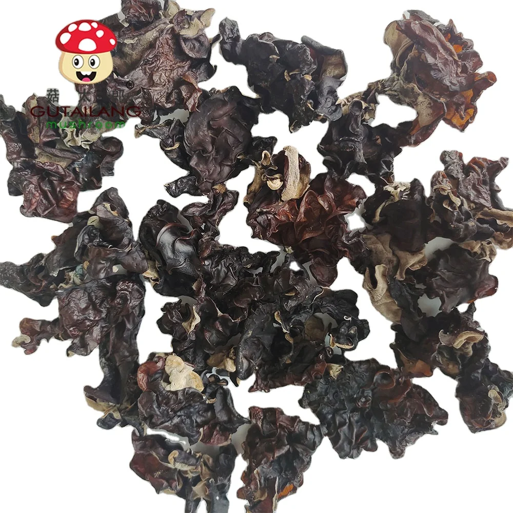 Cheap price dried white back black fungus wood ear mushroom third forth harvest  black fungus large size black fungi to Vietnam