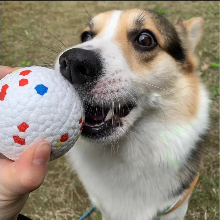 Hot Sale ETPU Silicone Dog Ball Durable and Sustainable Hard Chew Teething Toy for Puppies Indestructible Rubber Dog Ball