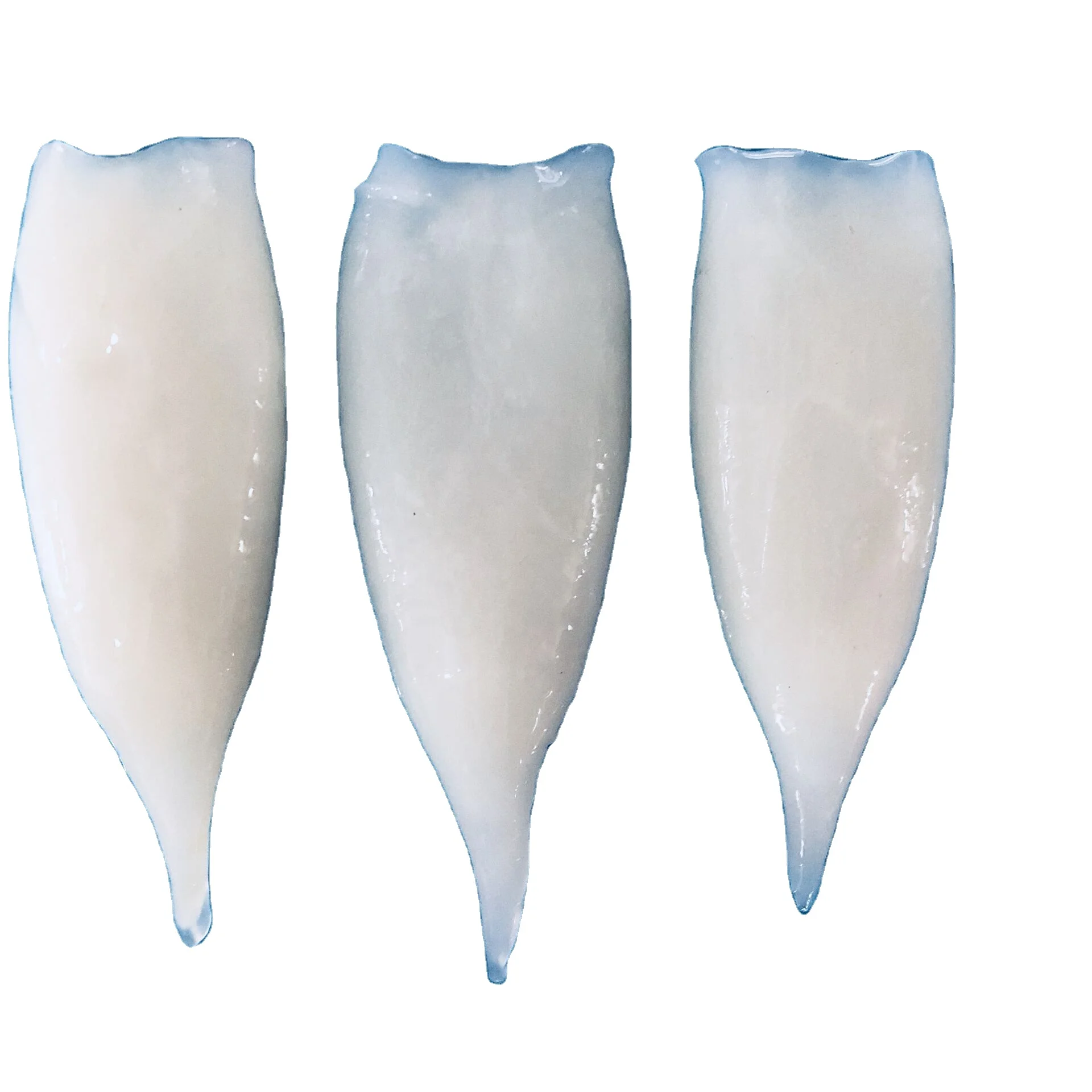 Frozen Seafood U5 Frozen Squid Tube