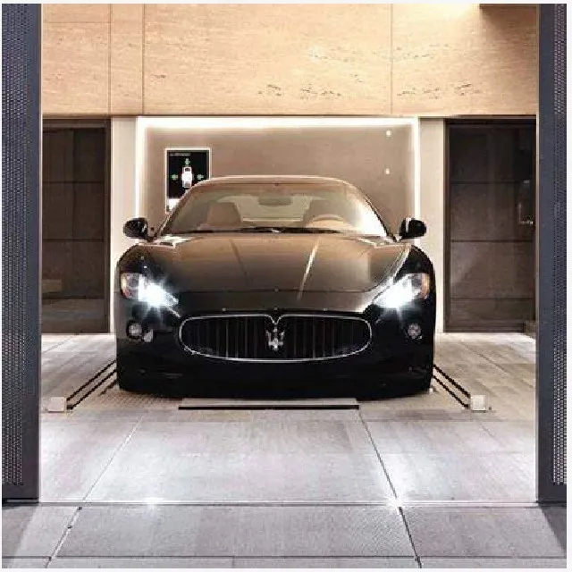 Good price and quality large space car lift car elevator safety performance car stairs