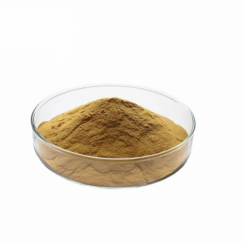 Best herbal mimosa pudica extract powder