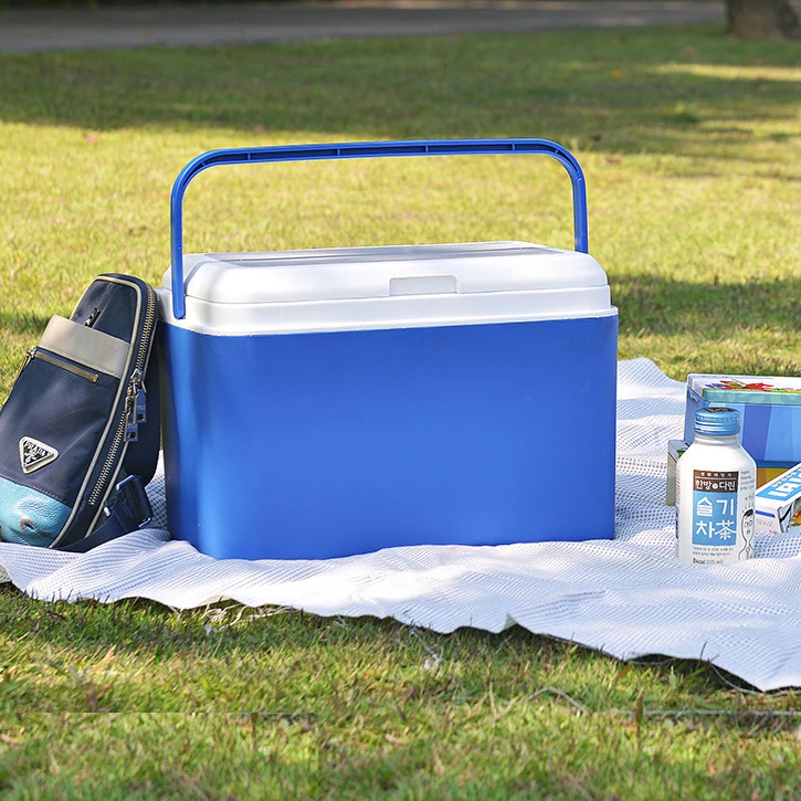 
2020 New 8L Car Cooler Box with Handle Ice Chest Picnic Outdoor Fishing Camping Mini Gift 