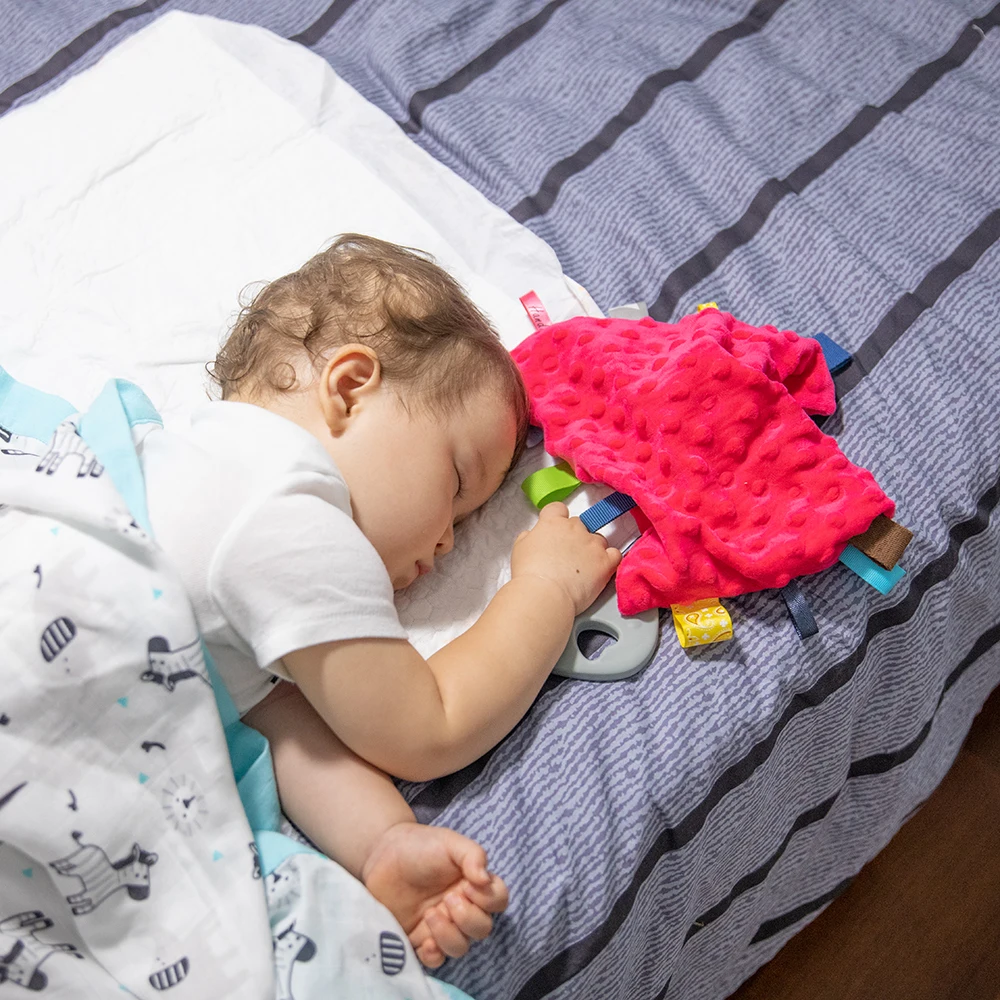 Snoozzz Baby Toys 0-12 months plush security blanket baby appease towel for newborn chewing teether