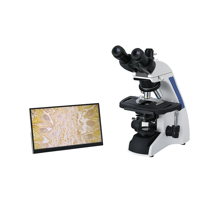 Wholesale XSZ-207T WF10X/20mm seidentopf trinocular head biological video medical laboratory microscope