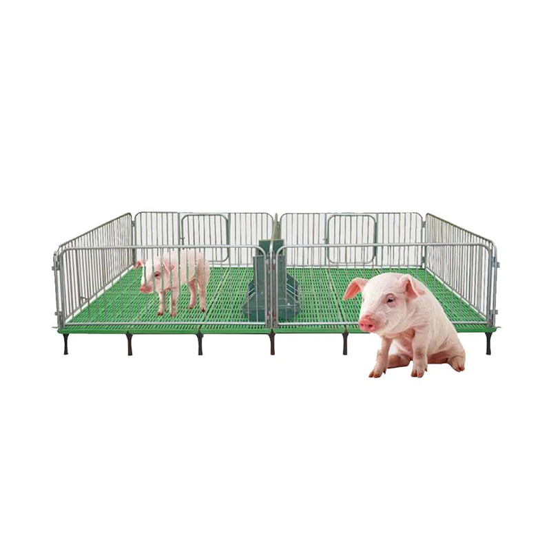 Hot Sale Low Price Pig Pen Commercial Pig Housing Pig Farrowing Crate House Construction