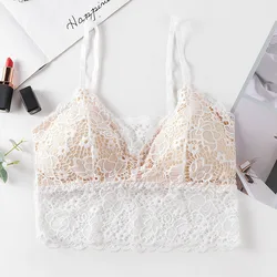 lace thin triangular cup two-color transparent chest wrapped in summer beautiful back seamless steel ring tube top