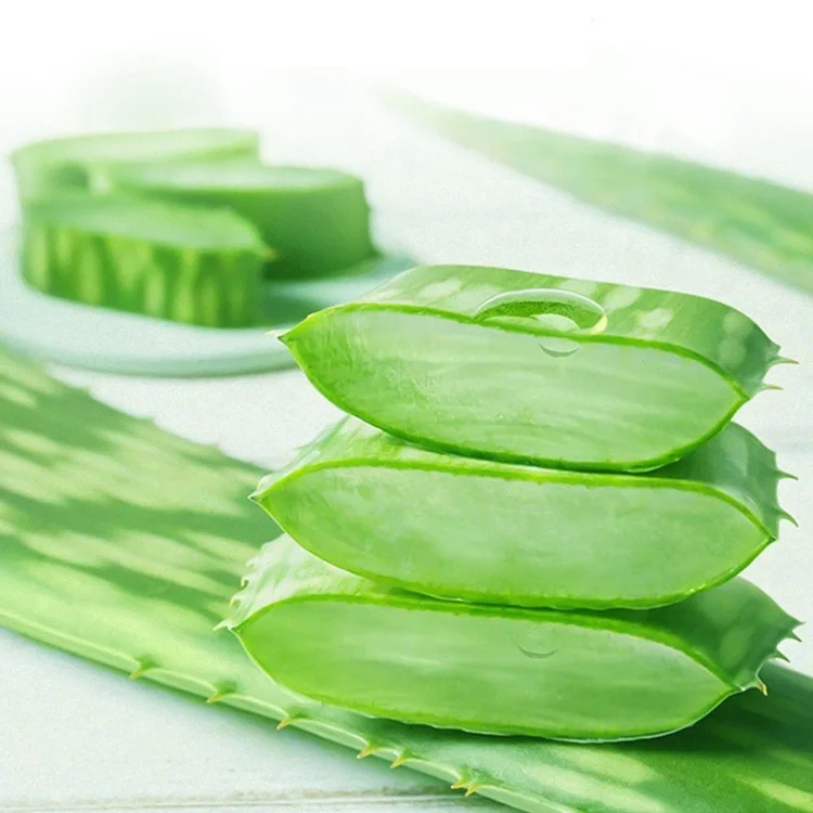 Wholesale Aloe Vera Gel Skin Lightening Hydrating Cream Alow Vera Acne Removal Cream For Face