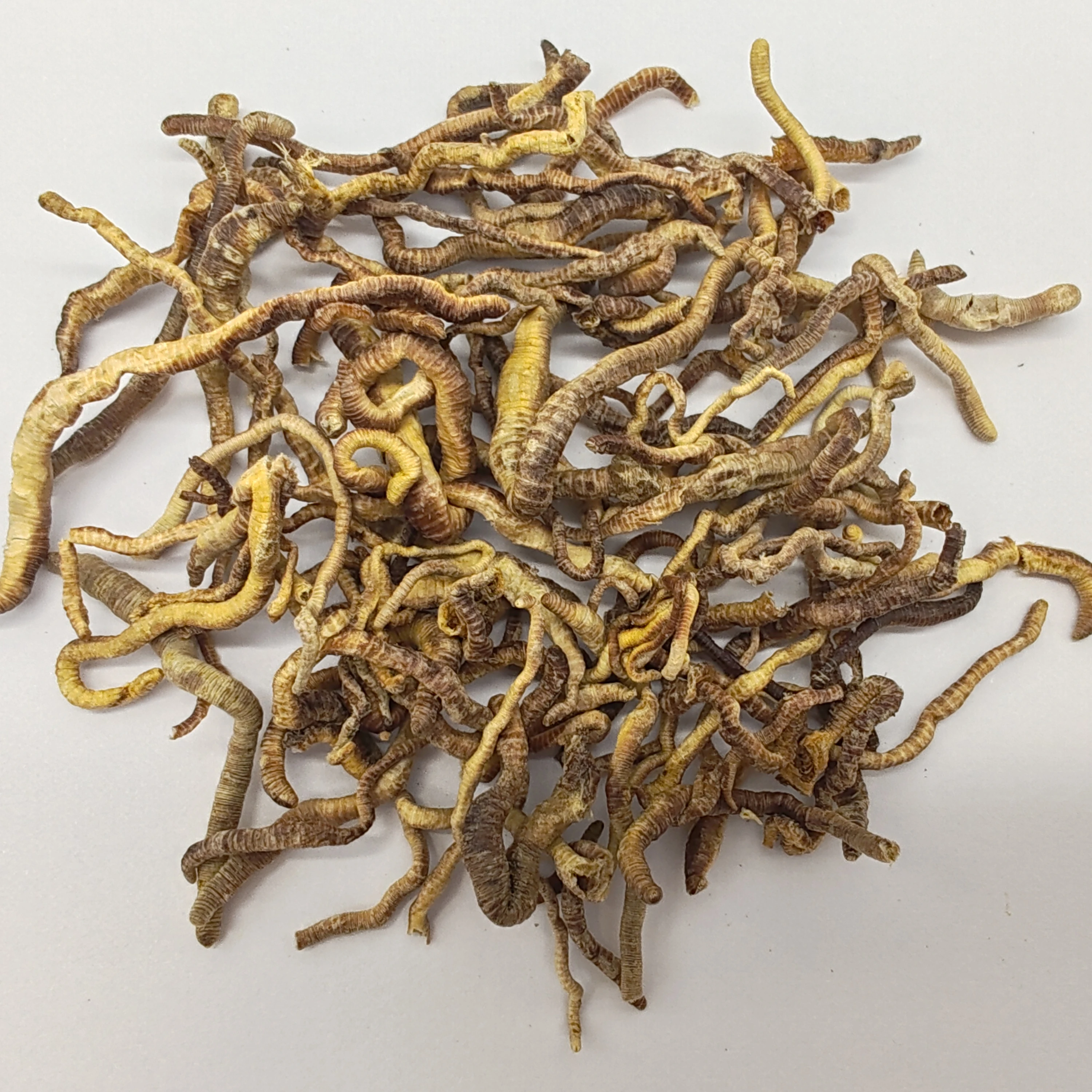 Сублимированный дождевой червь для корма животных