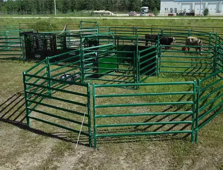Hot Selling Usa 12 Ft Heavy Duty Livestock Cattle Corral Fence And Horse Round Pen Panels Corral Panels And Gates For Sales