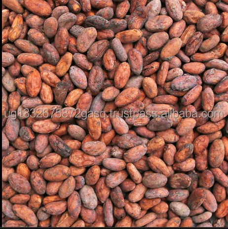 Высокое качество 1/6 весы жареное какао/шоколадные бобы Органическая сертифицированная упаковка в пакетах доступна по оптовой цене