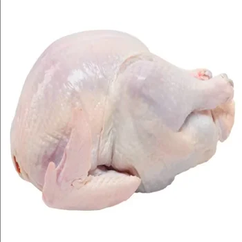 Perfect Premium Grade Frozen Whole Chicken  Quality  Frozen Whole Chicken and Parts Frozen Whole Chick in China