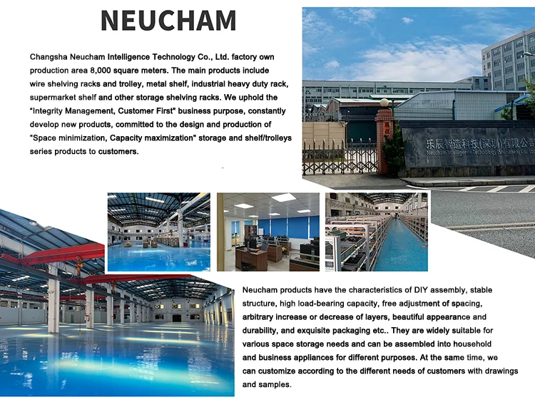 Neucham company profile.jpg