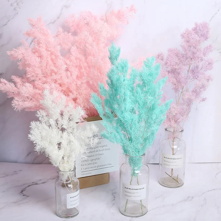 Guest gift wedding fresh preserved flower preserved eternal flower Penglai Pine