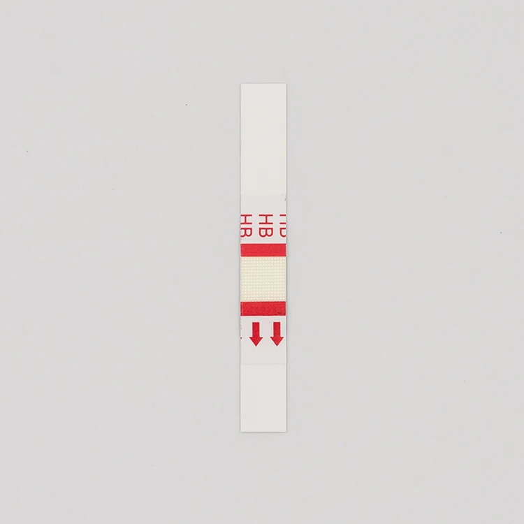 Health Equipments HB Meter Hemoglobin Test Equipment Hemoglobin Test Strips BHS-101