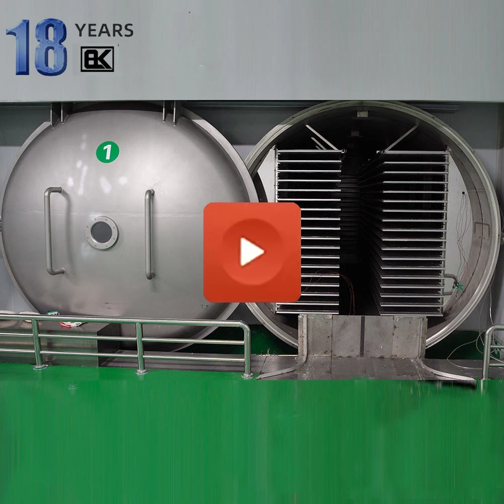 China Lyophilization Equipment Freeze Drying Lyophilizer Machine Industrial Fruit Food Vacuum Freeze Dryer