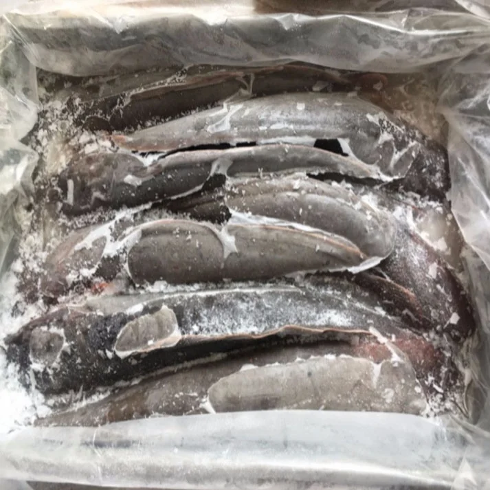 High quality frozen whole round Catfish (including dry catfish)