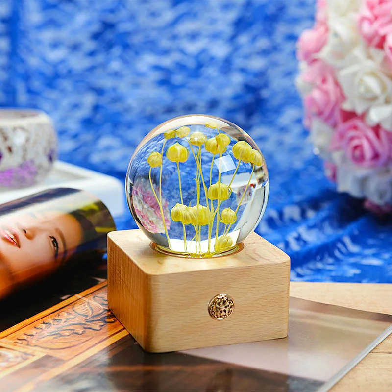 Unique Hot Item Novelty Gifts 2024 Trends New Years innovative Product Ideas Real Flower Night Light Holiday Festival Gift Sets
